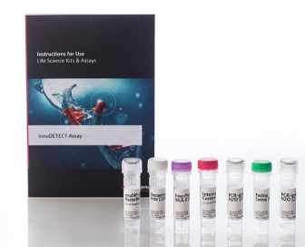 innuDETECT Internal Control DNA/RNA Assay