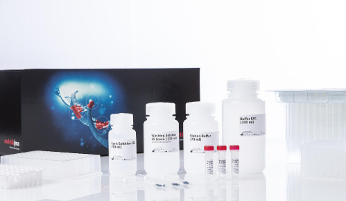 smart Blood DNA Midi Direct prep (a96) - FX